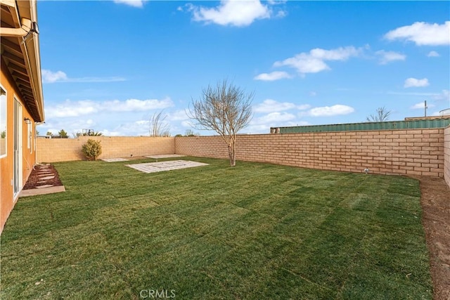 view of yard featuring a patio