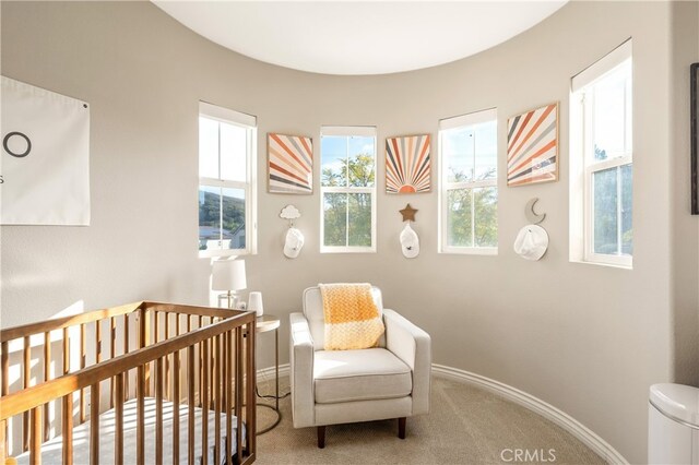 carpeted bedroom with a crib