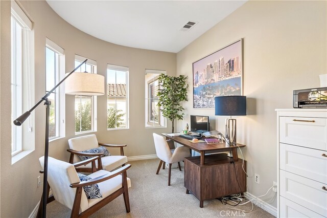 office area featuring light colored carpet