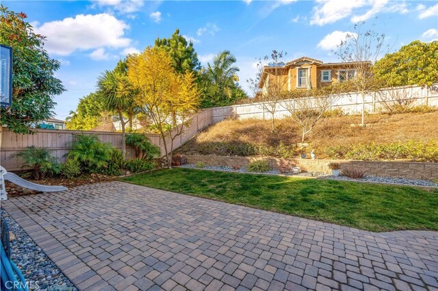 view of yard featuring a patio