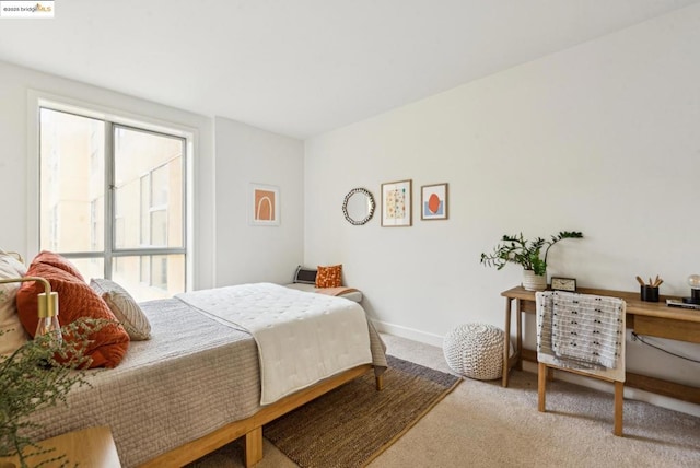 bedroom with carpet