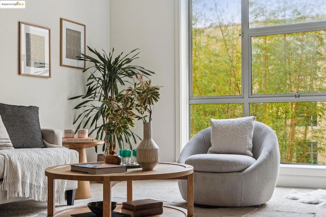 sitting room featuring carpet floors