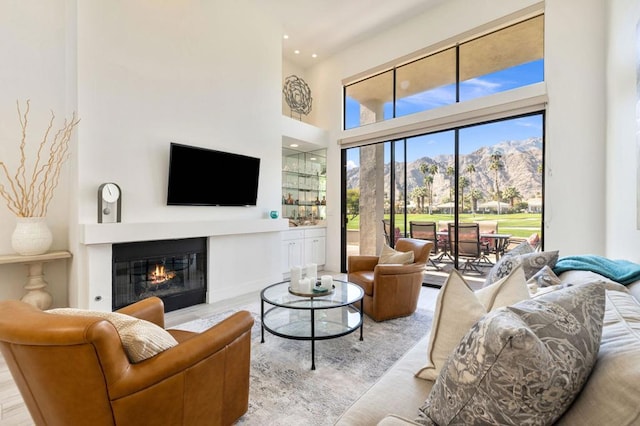 living room featuring light hardwood / wood-style floors and a high ceiling