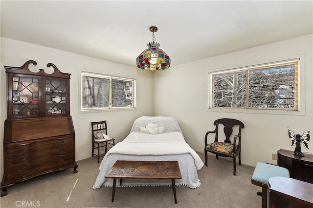 bedroom featuring carpet flooring