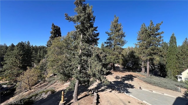 view of landscape featuring a view of trees