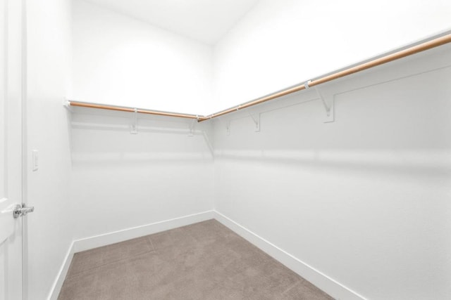 walk in closet featuring carpet flooring