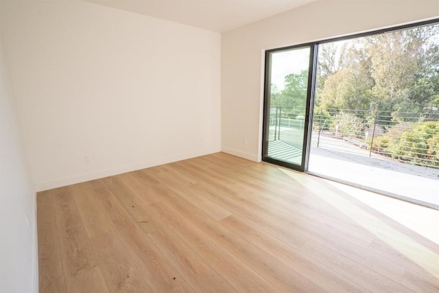 empty room with light hardwood / wood-style flooring