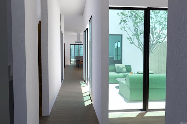 corridor with wood-type flooring and a wealth of natural light