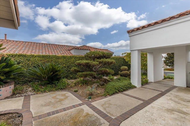 view of yard featuring a patio area