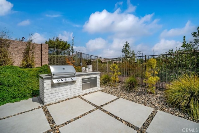 view of patio / terrace with area for grilling and exterior kitchen