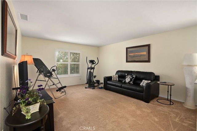 workout area featuring light colored carpet