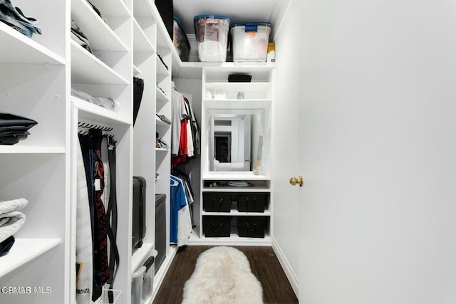 walk in closet with wood finished floors