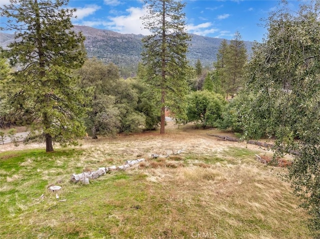 view of yard featuring a mountain view