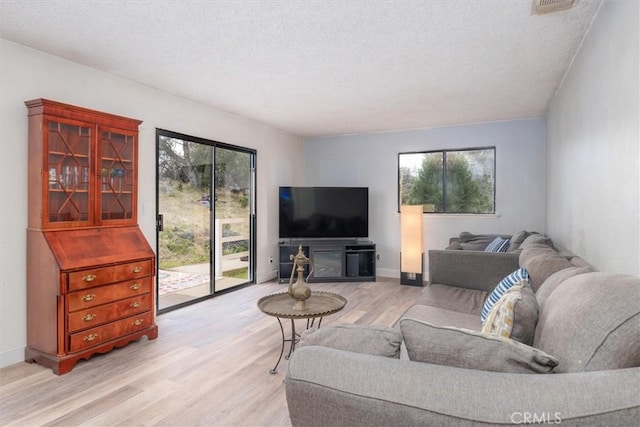 living room with a textured ceiling and light hardwood / wood-style flooring