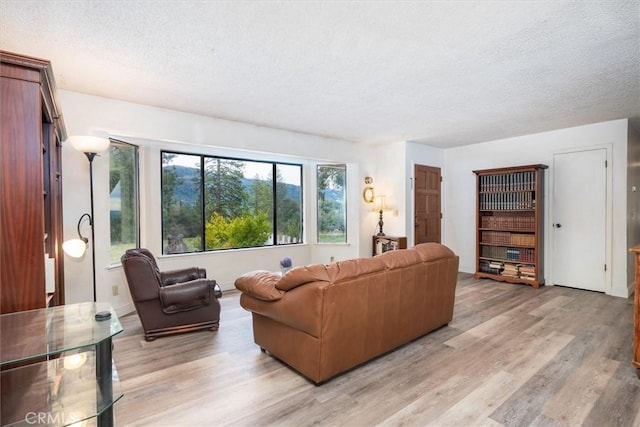 living room with light hardwood / wood-style flooring and a textured ceiling