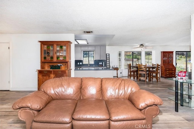 living room with ceiling fan, a healthy amount of sunlight, light hardwood / wood-style flooring, and a textured ceiling