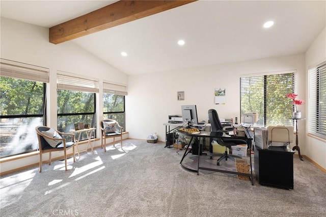 5045 Malibu Dr, Paradise, CA 95969 - office space featuring carpet and recessed lighting