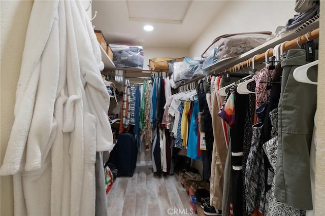 walk in closet with wood-type flooring