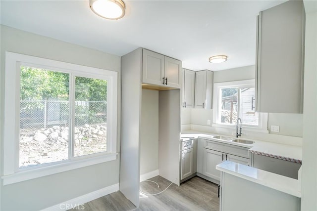 kitchen featuring sink, light hardwood / wood-style flooring, and gray cabinetry