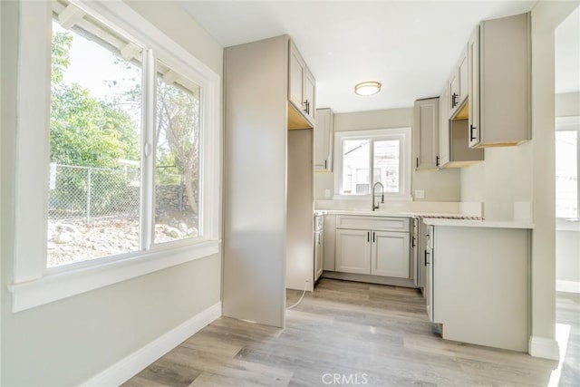 kitchen with sink and light hardwood / wood-style flooring