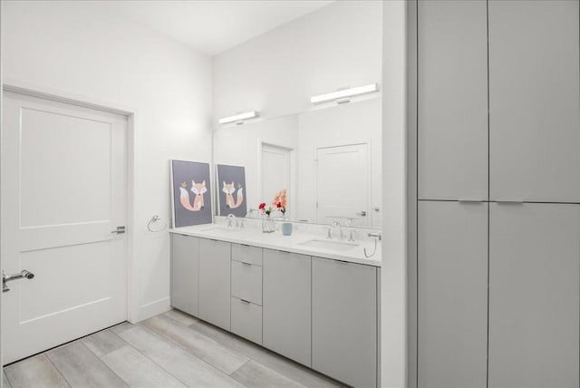 bathroom with hardwood / wood-style flooring and vanity