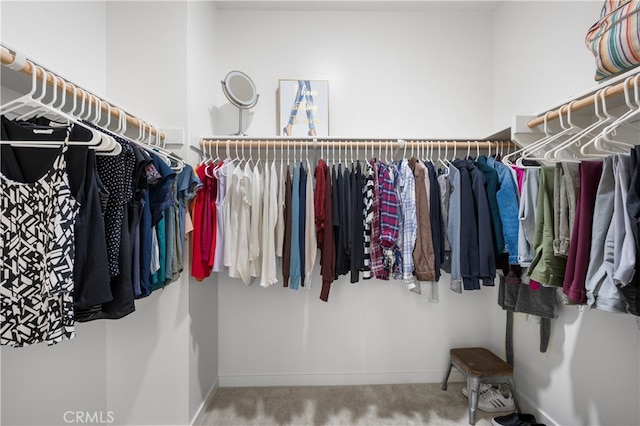 spacious closet with carpet flooring