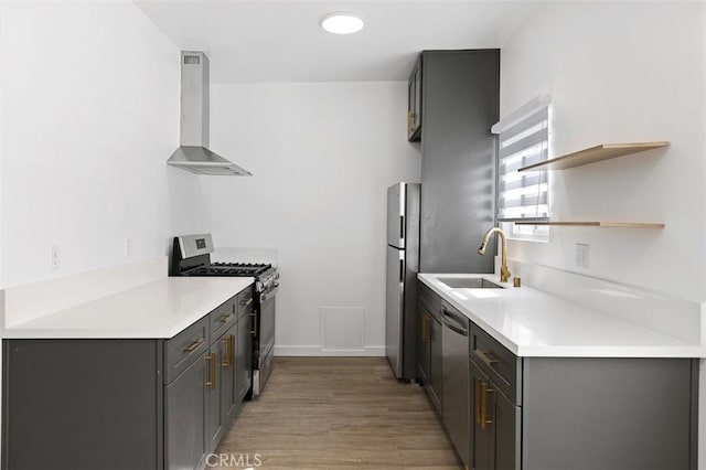 kitchen featuring ventilation hood, appliances with stainless steel finishes, sink, and light wood-type flooring