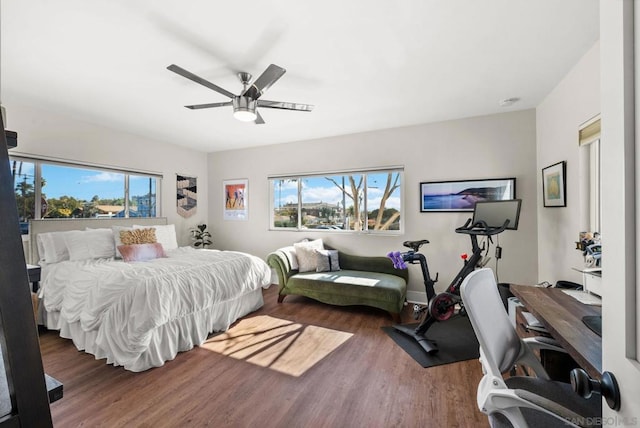 bedroom featuring multiple windows, dark hardwood / wood-style floors, and ceiling fan