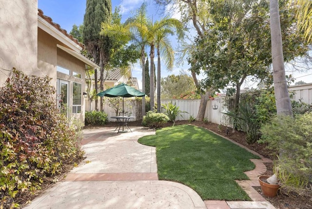 view of yard featuring a patio area