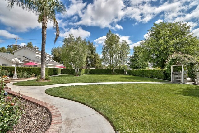 view of property's community featuring a lawn