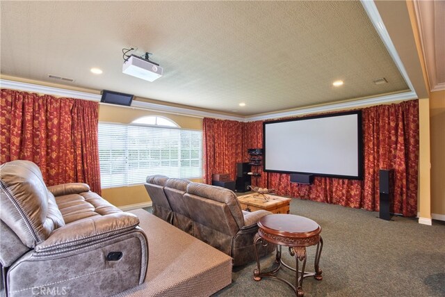 carpeted cinema featuring ornamental molding