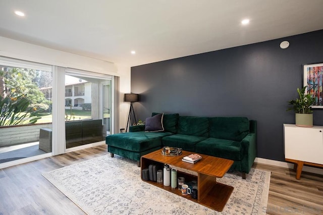 living room with hardwood / wood-style floors