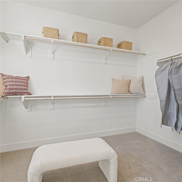 spacious closet featuring light colored carpet