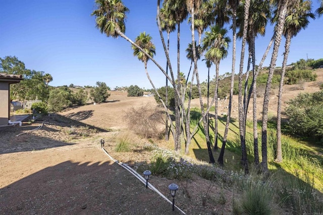 view of yard featuring a rural view