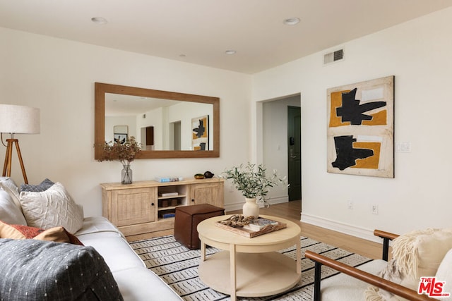 living room featuring hardwood / wood-style floors