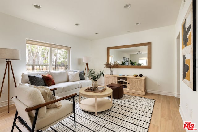 living room featuring light hardwood / wood-style flooring