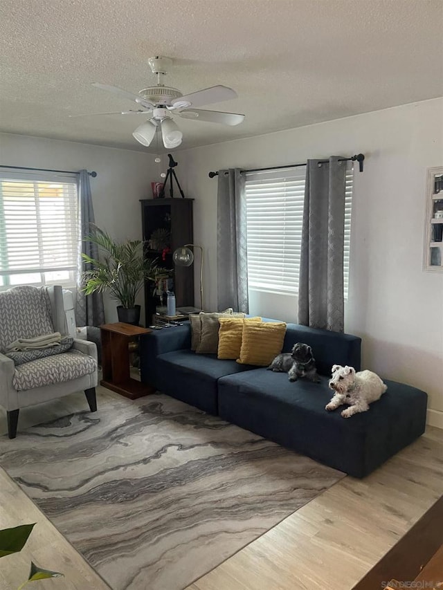 living room with hardwood / wood-style floors, a textured ceiling, and ceiling fan