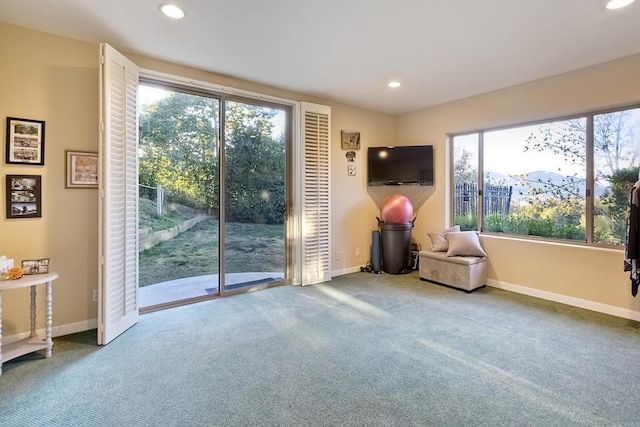 unfurnished room with carpet floors