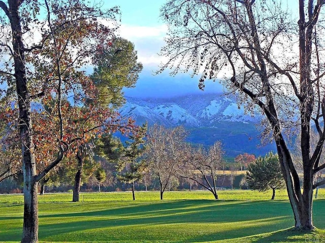 surrounding community featuring a mountain view and a yard