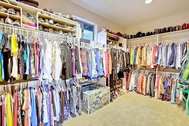 walk in closet with carpet floors