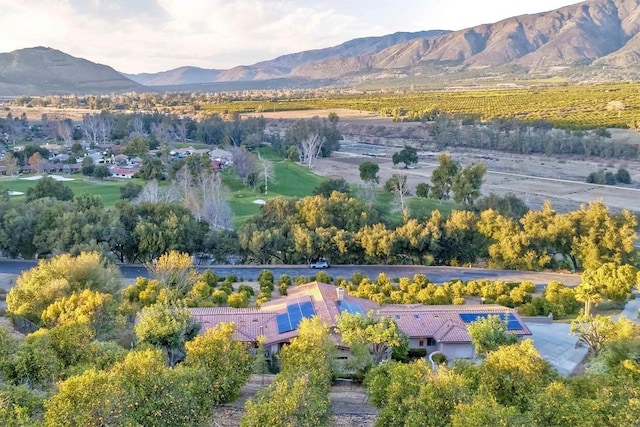 birds eye view of property with a mountain view