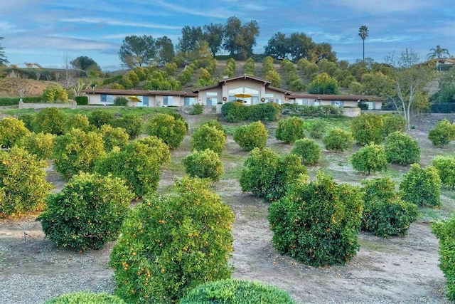 15615 Pauma Valley Dr, Pauma Valley, CA 92061 - view of yard
