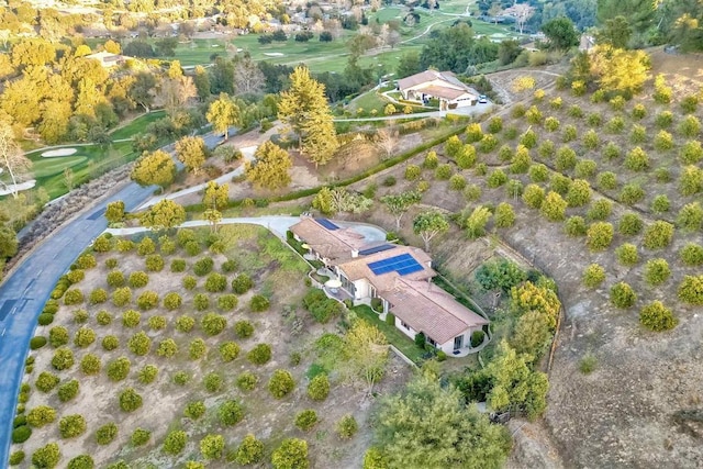 15615 Pauma Valley Dr, Pauma Valley, CA 92061 - aerial view of property's location