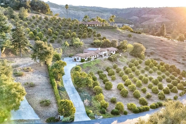 15615 Pauma Valley Dr, Pauma Valley, CA 92061 - view of subject property with a mountain backdrop