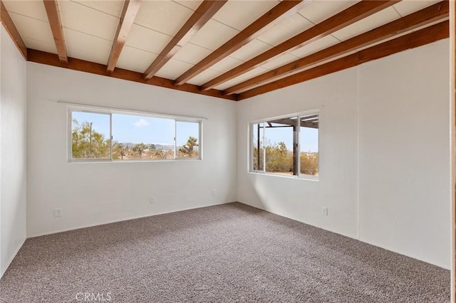 unfurnished room featuring beam ceiling, a healthy amount of sunlight, and carpet