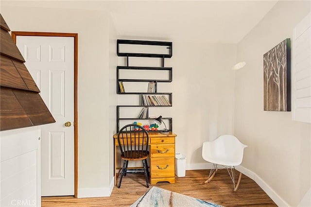 office space featuring wood-type flooring