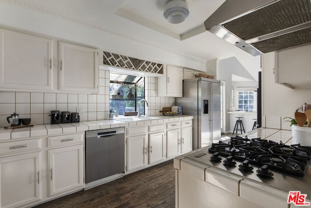 kitchen featuring a raised ceiling, tasteful backsplash, sink, exhaust hood, and stainless steel appliances