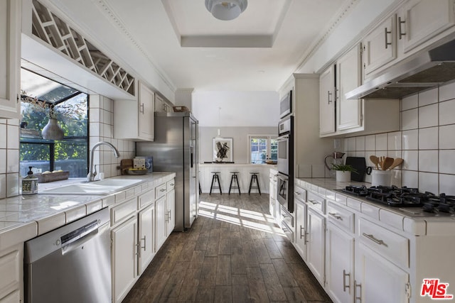 kitchen with a raised ceiling, white cabinetry, sink, dark hardwood / wood-style flooring, and stainless steel appliances