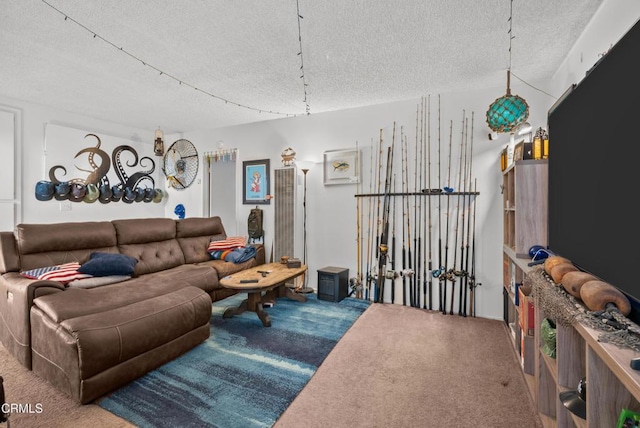 carpeted living room with a textured ceiling