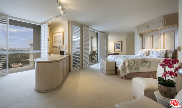 bedroom featuring expansive windows, track lighting, light carpet, and access to outside